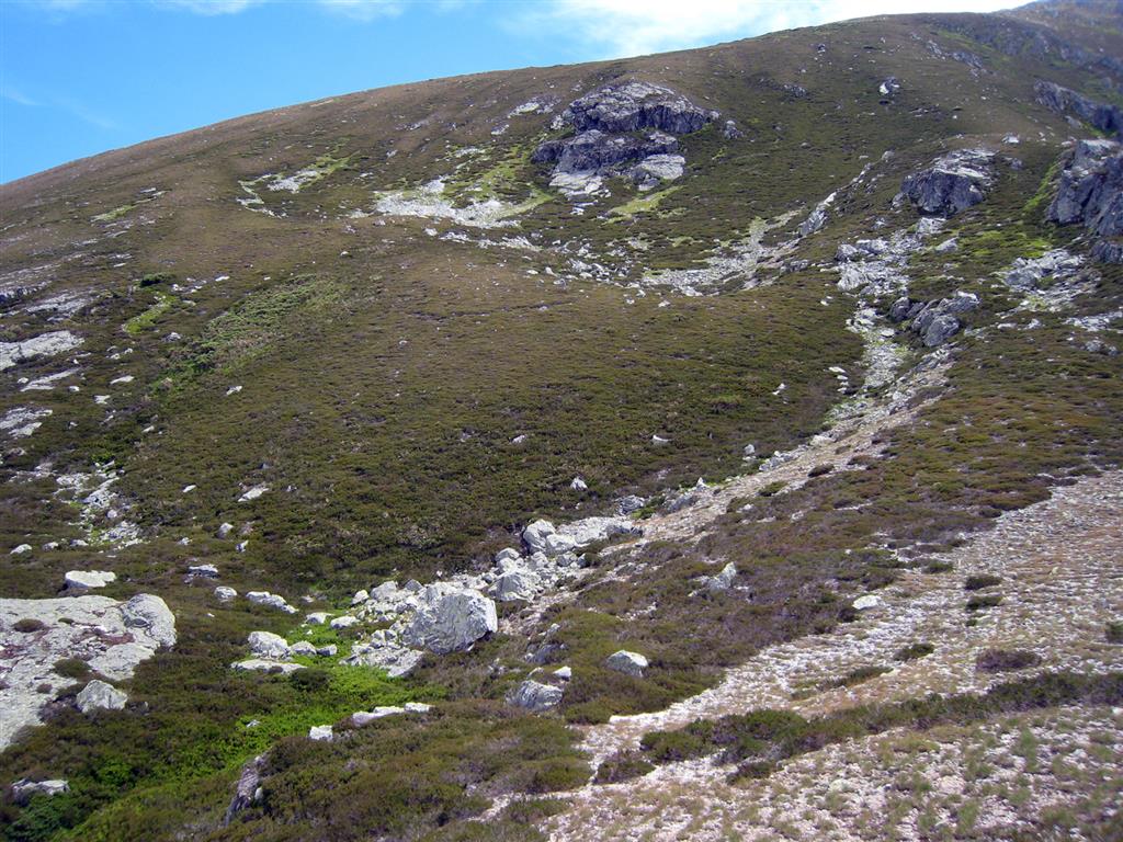 Vista hacia el SE de dos morrenas de nevero situadas al E del glaciar rocoso anterior, entre 1740 y 1770 m de altitud. La ladera se encuentra orientada al NO (foto V. Alonso)