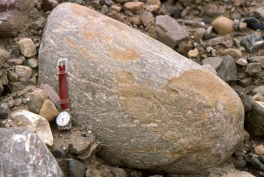 Bloque de caliza: su forma (“en bala”) y las numerosas estrías indican que ha sufrido un transporte subglaciar (Foto: V. Alonso)