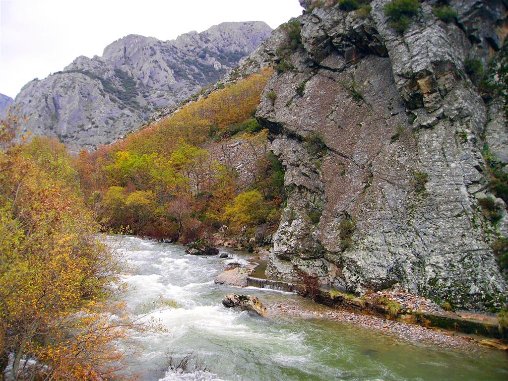 El río Curueño, colector principal de la cuenca, en el punto en el que recibe el caudal del arroyo del Valdecésar, aguas debajo de la cascada de Nocedo.