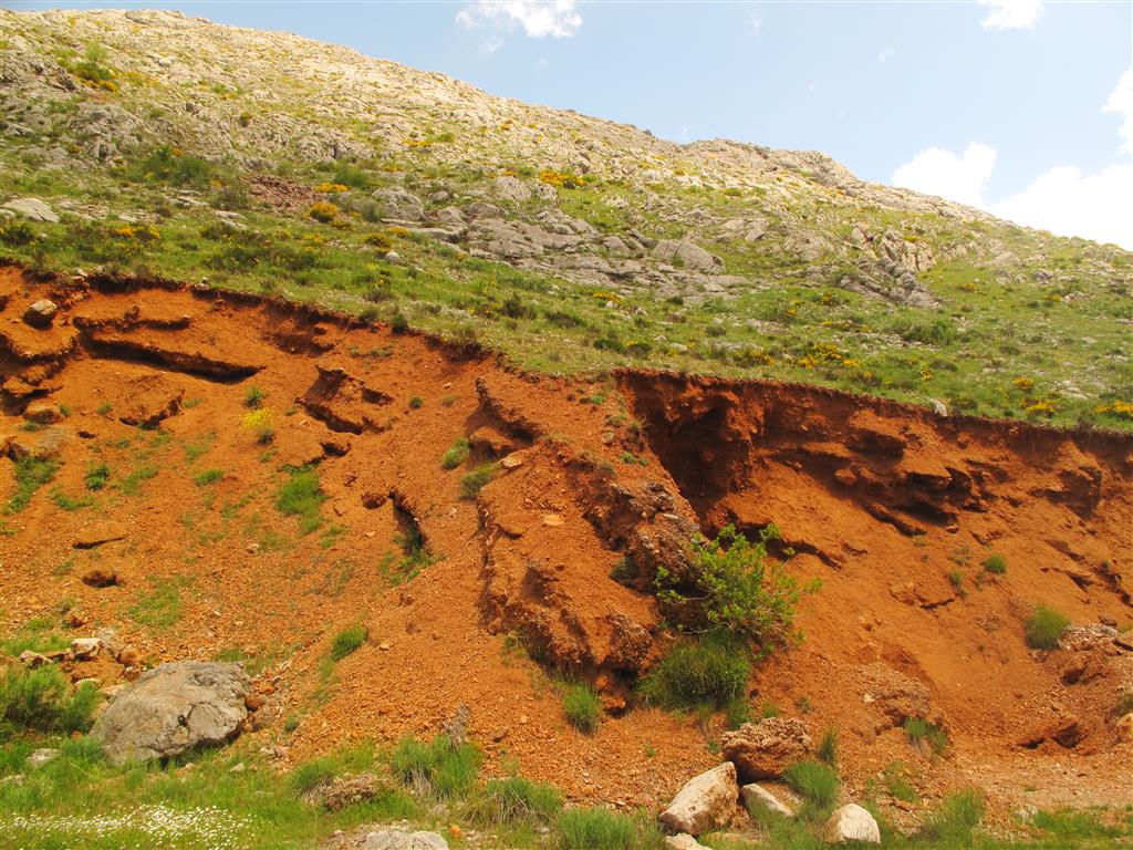 Gonfolitas en la parte alta del estratotipo de la FormaciónValdeteja. Este tipo de depósito calcáreos cementados resultan frecuentes a lo largo de todo el trazado de las hoces de Valdeteja.