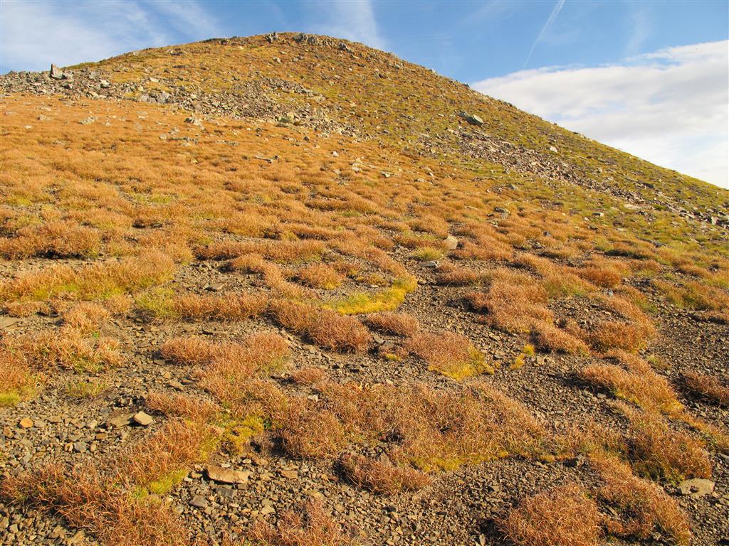 Panorámica de una superficie próxima a la cima del Brañacaballo, totalmente recubierta por terracitas de origen periglaciar.