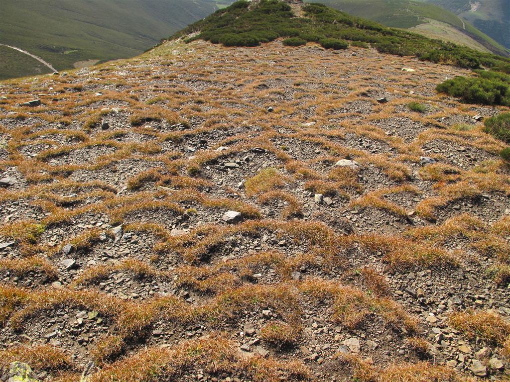 Panorámica de la ladera en la que abundan las terracitas de origen periglaciar.