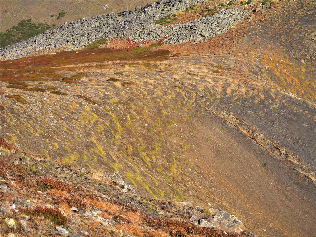 Tal y como se aprecia en la imagen, en la ladera norte del pico Brañacaballo, las terracitas están menos desarrolladas y ocupan una superficie menor que en la ladera orientada hacia el sureste.