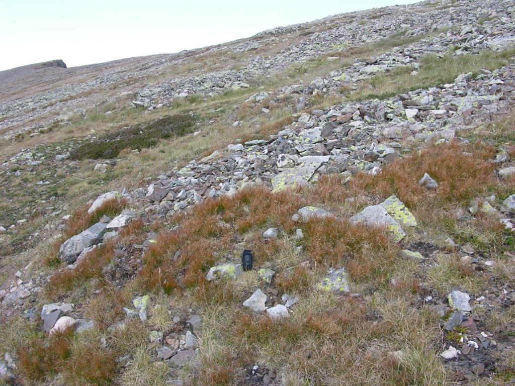 Lóbulo de piedras en la vertiente suroeste del pico de las Tres Provincias. Estos lóbulos indican procesos de gelifluxión recientes, probablemente sub-actuales. Fotografía: Javier Santos González.