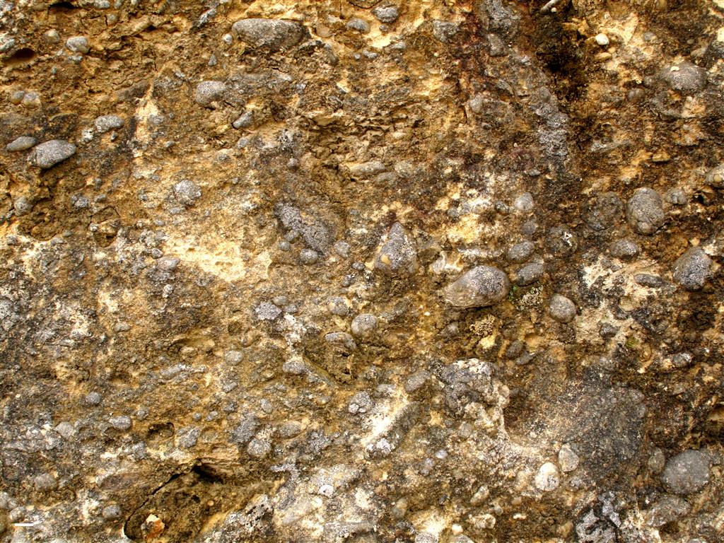 Detalle de una capa de conglomerados calcáreos del Cretácico.