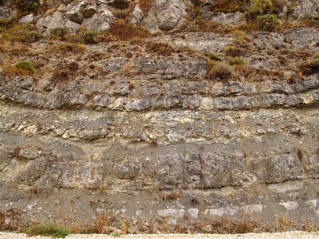 Afloramiento de calizas cretácicas situado a pie de carretera; en estos niveles puede apreciarse una intensa bioturbación, así como la presencia de numerosos icnofósiles de tipo galería.