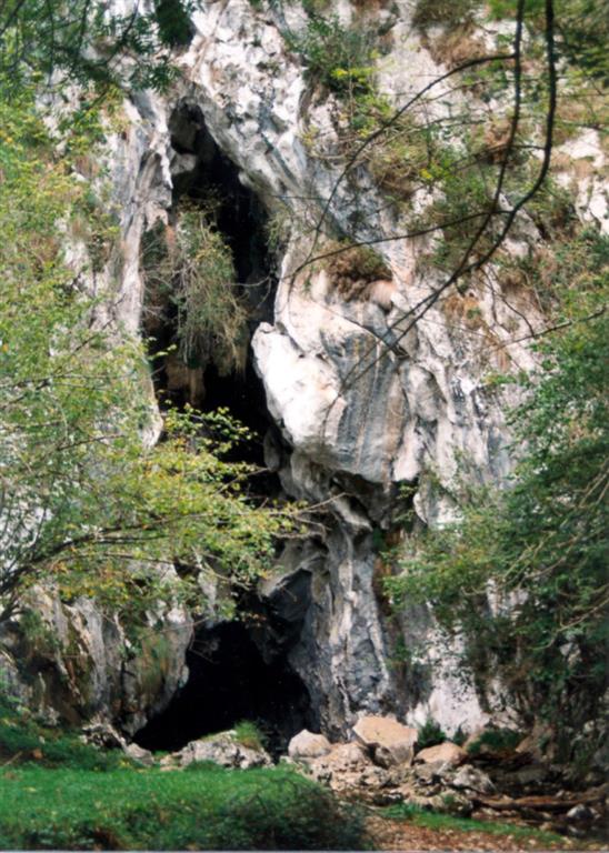 Cueva por la que se sume el agua que discurre por la Vega de Orandi