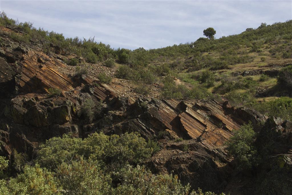 Parte baja de las pizarras de Navas de Estena, en el comienzo de la ruta geológica del río Estena (arroyo del Chorrillo).