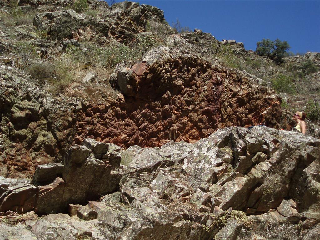 Superficie de concentración de grandes Cruziana (huellas de trilobites) en la base de un estrato de la Cuarcita Armoricana.