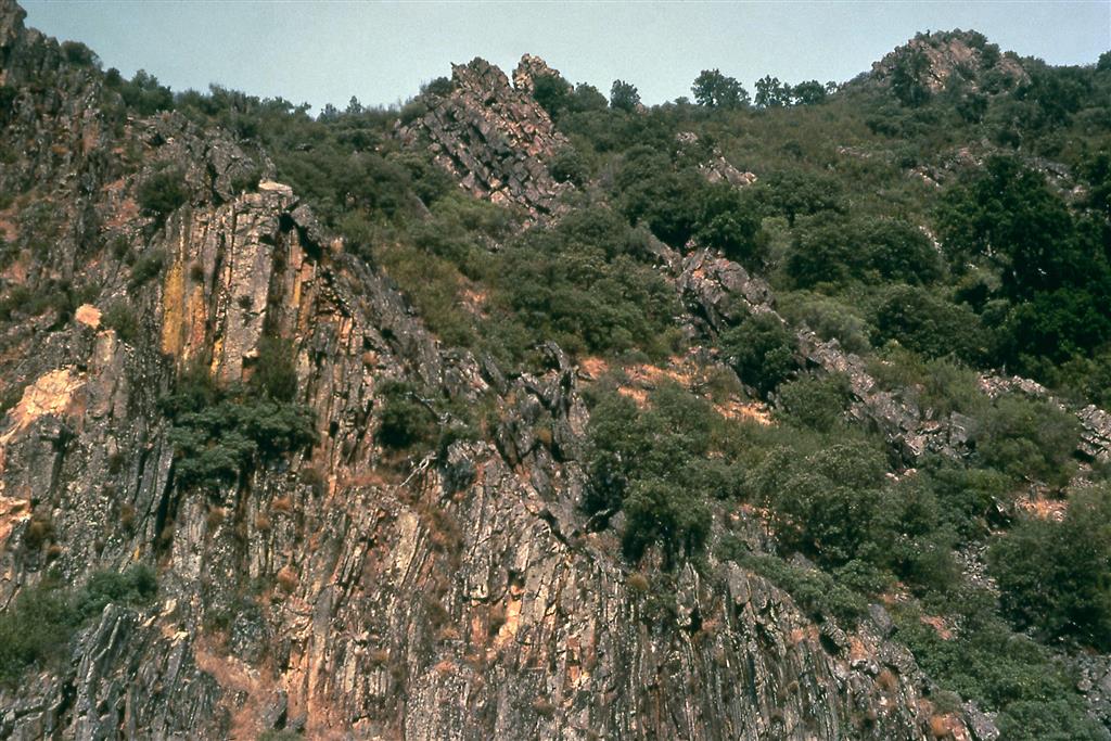 Discordancia Toledánica en el itinerario del Boquerón del Estena (Parque Nacional de Cabañeros), que pone en contacto angular el basamento preordovícico, representado a la izquierda de la foto por limolitas subverticales del Cámbrico Inferior (Areniscas del Azorejo), con las cuarcitas del Ordovícico Inferior, inclinadas al noreste (“Capas Intermedias”, a la derecha). Foto: J.C. Gutiérrez Marco