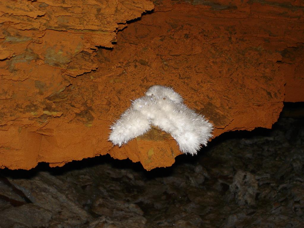 Formas fibrosas. Son los espeleotemas más característicos de la cueva de Castañar y unos de los más abundantes. Se trata de cristales aciculares de aragonito, aunque localmente pueden haberse transformado en calcita.
