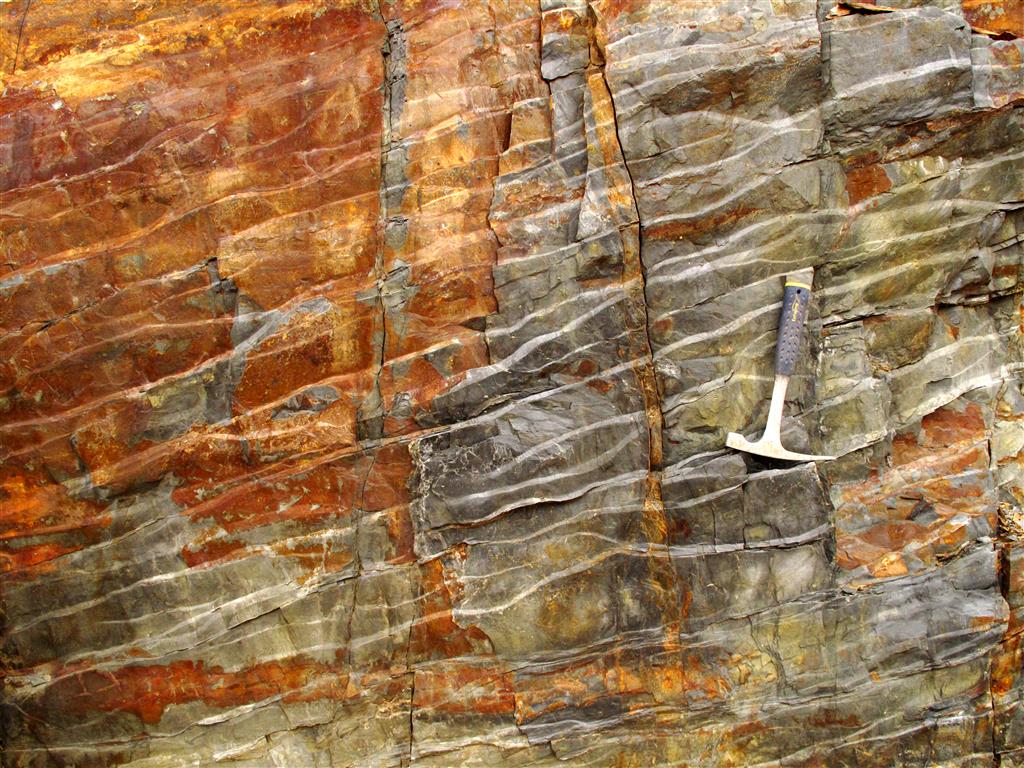 Numerosos kink bands en las pizarras del Ordovícico Medio. Este tipo de estructuras deformativas resultan muy frecuentes en la base de esta unidad.