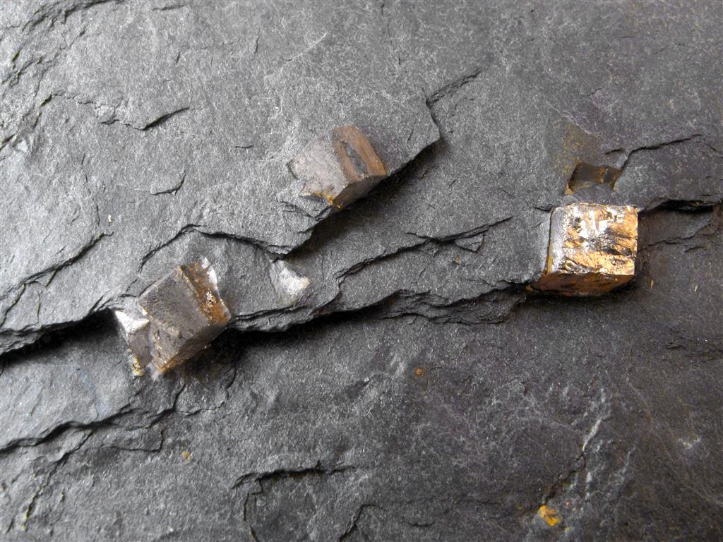 Aspecto in situ de las piritas presentes en las pizarras negras situadas en los tramos basales de las pizarras del Ordovícico Medio (Fm. Luarca s. l.) en el Sinclinorio de Truchas.