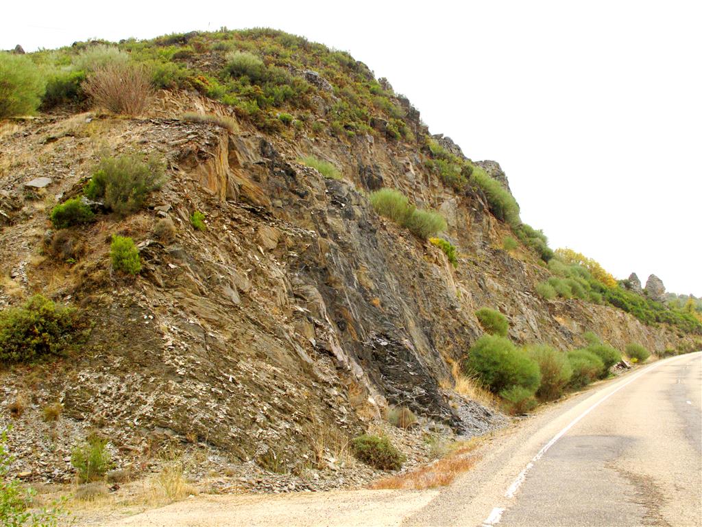 Afloramiento del Paso de la Muerte (Manzaneda), donde se vuelve a verificar el tránsito entre los materiales de la Serie de transición (Ordovícico Inferior-Medio) y las Pizarras de Luarca s. l. (Ordovícico Medio).