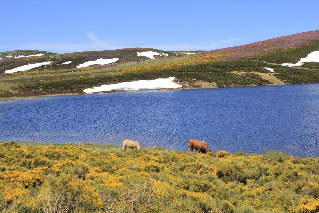 Laguna de los Peces, orilla oeste y suave topografía del entorno. En su entorno, turberas y
especies arbustiva de gran colorido estacional.