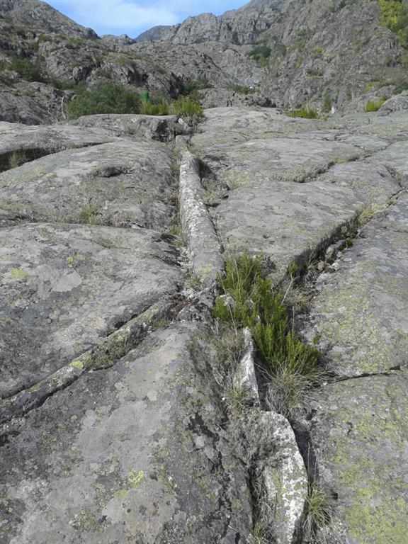 Dos diques de cuarzo perpendiculares destacan sobre una roca aborregada en la pareces del
cañón.