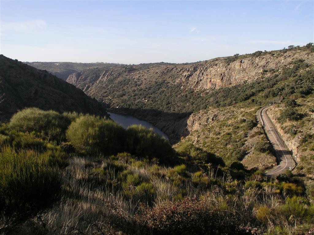 Cañón del Duero encajado en la penillanura del occidente zamorano aguas arriba del puente de Requejo (06/12/2016). 