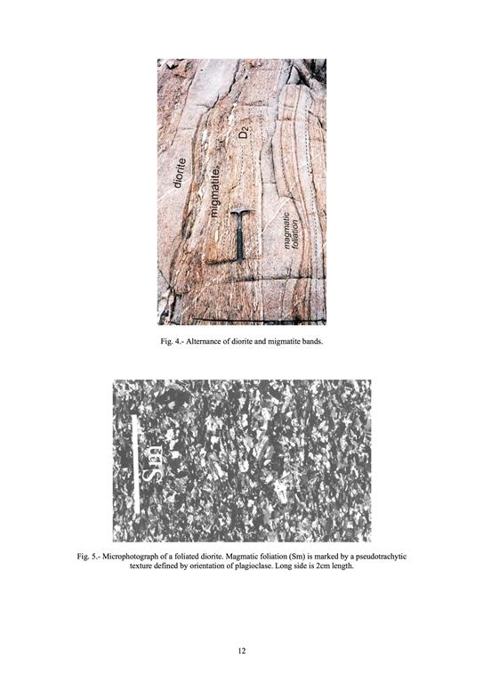 Afloramiento con un bandeado de dioritas y migmatitas. Las dioritas presentan una foliación magmática marcada por los cristales de plagioclasa, mientras que en la migmatita está marcada por bandas de leucosomas y schlieren de biotita. En ambos casos no existe deformación intracristalina, lo que justifica que la foliación fue desarrollada en un sistema magmático. La foliación y la lineación mineral apoyan que la fusión parcial del Ollo de Sapo fue coetánea con la intrusión del magma diorítico en la zona anatéctica (tomado de Castro et al. 2003).