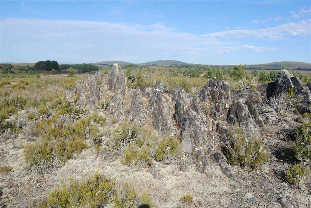 Aspecto del paisaje en las filitas gris azuladas de la Fm. Puebla., con una marcada esquistosidad S1. Ordovícico Inferior. Alrededores del Puente de la Ribera. Boya.