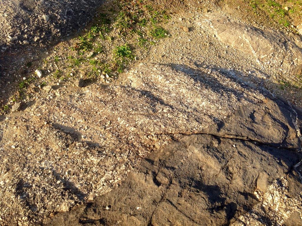 Aspecto de un afloramiento de rocas monzoníticas en las canteras 1 y 2 de las figuras 2 y 3. Cuarzomonzonita porfídica posterior a una roca de composición intermedia de tonos más oscuros.