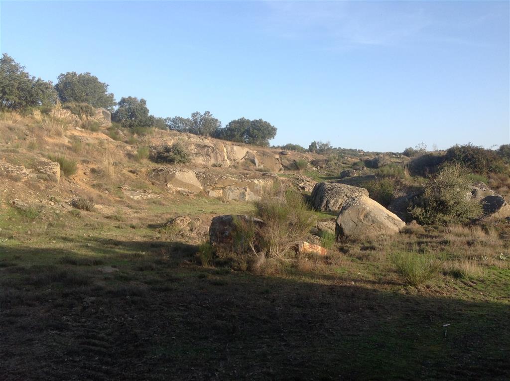 Frente de cantera abandonada con rocas de la asociación monzonítica en el punto 4 de las figuras 2 y 3.
