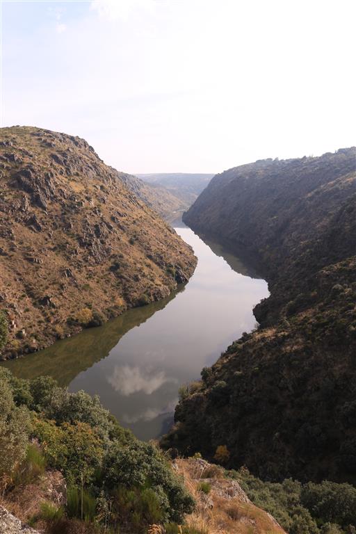 El encajamiento del río Duero aguas arriba del puente-viaducto de Requejo