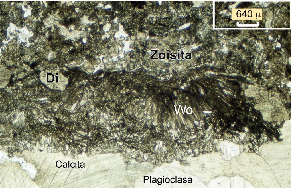 Microfotografía de la zona de interacción mármol-granito de La Baldosa, con la formación de minerales típicos de este tipo de escenarios como el piroxeno diópsido, la zoisita y la wollastonita.