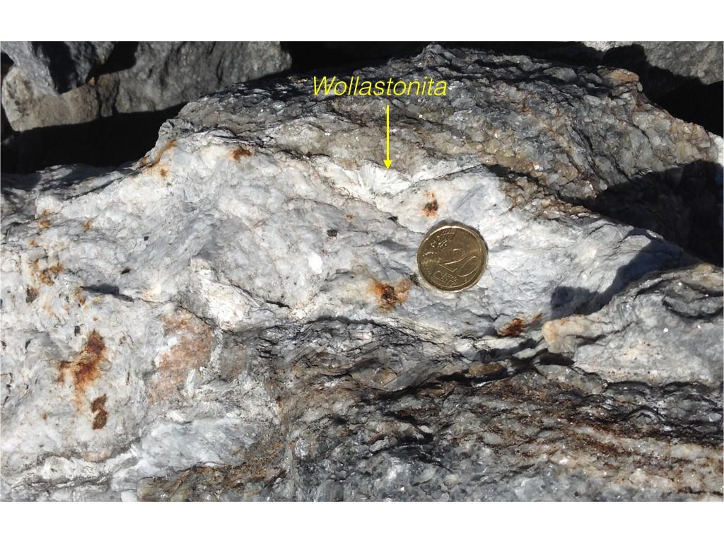 Blastesis de wollastonita en la zona de contacto mármol roca silicatada (blanca).