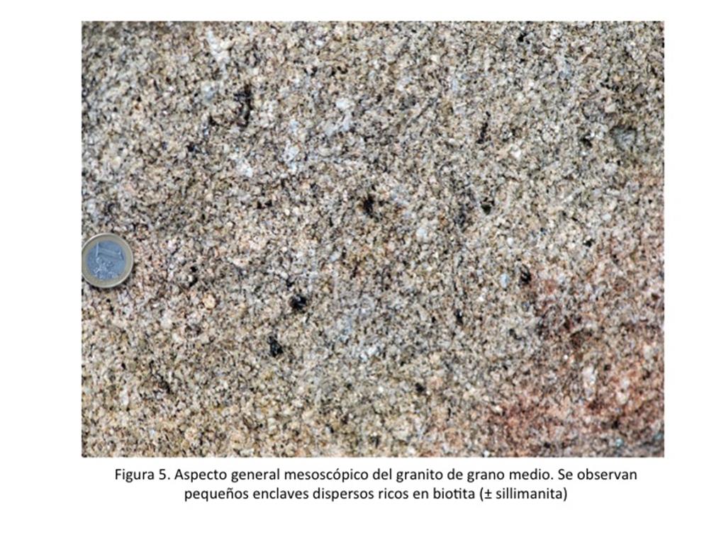 Aspecto general mesoscópico del granito de grano medio. Se observan pequeños enclaves dispersos ricos en biotita (± sillimanita)