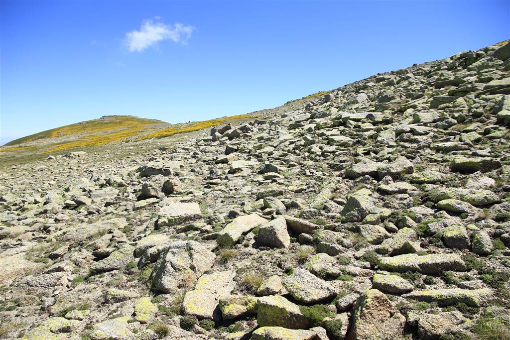 Vertiente de bloques inmediata a la superficie de cumbres. Al fondo La Ceja (2432 m), el punto
más elevado de la Sierra de Béjar.