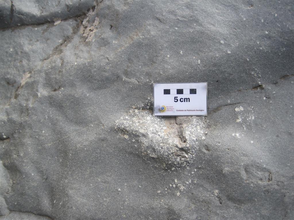 Xenolito de roca granuda en un dique o filón de microdiorita de aspecto porfídico