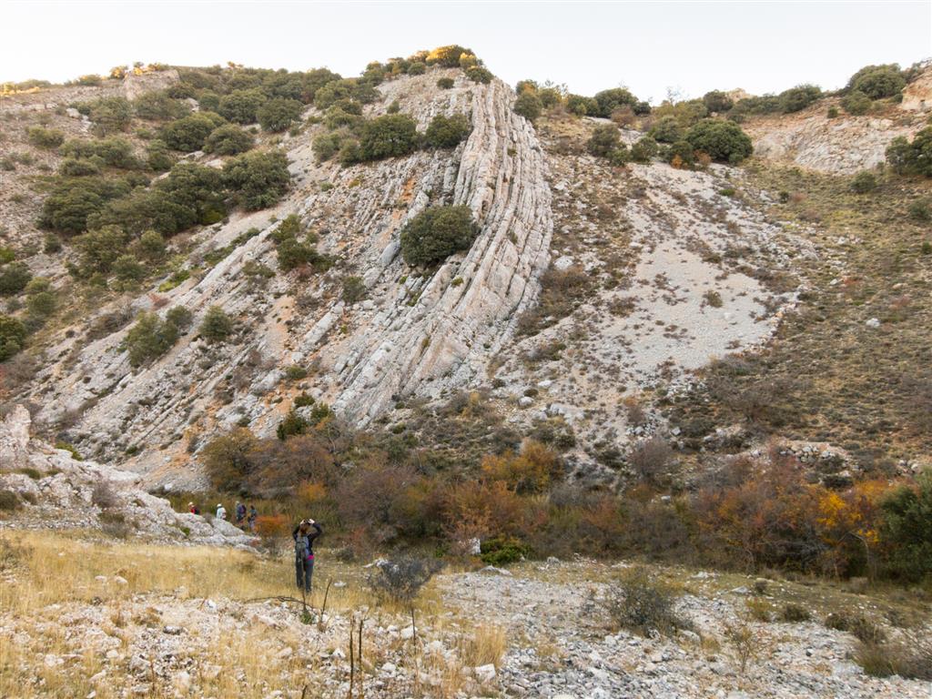 Capas del cretácico verticalizadas por el empuje de los materiales jurásicos al NE (derecha de la foto). Proximidades de la Fuente del Tejo.