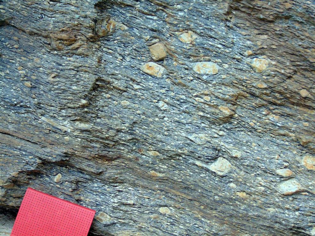 Facies grano grueso del gneis de Hiendelaencina (Serie de Hiendelaencina), ignimbrita con porfiroclastos de feldespato potásico, la libreta de escala tiene 15 cm de largo.