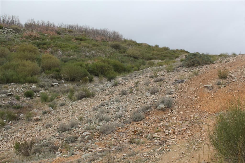 Banda de falla con los grantios fracturados en la zona culminante, a las espaldas de la cámara el Valle del Jerte y más allá del collado Puerto de Castilla