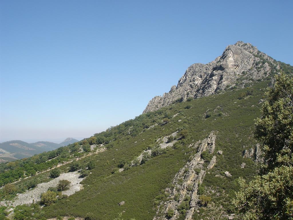 Parte alta de un canchal en el valle del Almonte
