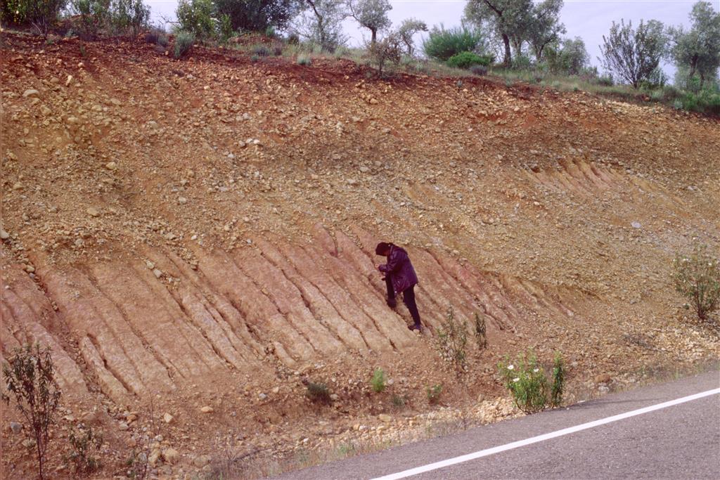 Corte del depósito de la raña en talud de la carretera EX116 Cañamero-Obando, Km 29, hace aprox. 23 años.