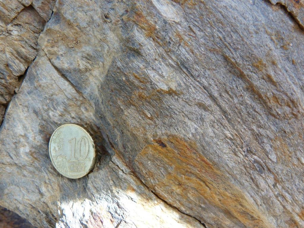 Milonitas con estructuras S/C y pliegue intrafoliar en una excavación en la carretera de subida a Oropesa (UTM-ETRS89, X: 313.542, Y: 4.421.050).  S a la derecha.