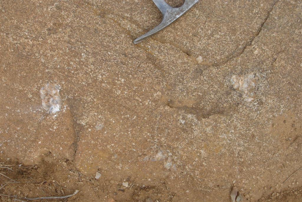 Detalle de los granitoides en facies Layos, donde destacan los feldespatos como glándulas/glóbulos y fenocristales y los enclaves.