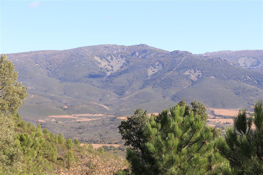 Pedrizas en embudo ubicadas en las cabeceras de varios barrancos de la ladera oeste del Corral de Cantos (1.421 m) situado en el borde oriental de la depresión de Navas de Estena.