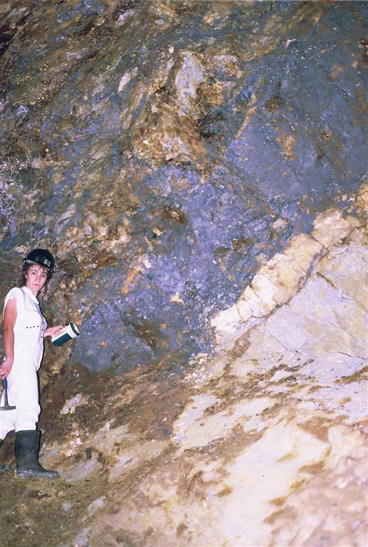 Mina Los Pontones (Los Diegos): Espectacular frente de explotación mineralizado del filón Principal en el socavón del nivel 455,5 de la mina Los Diegos (Foto F. Palero).