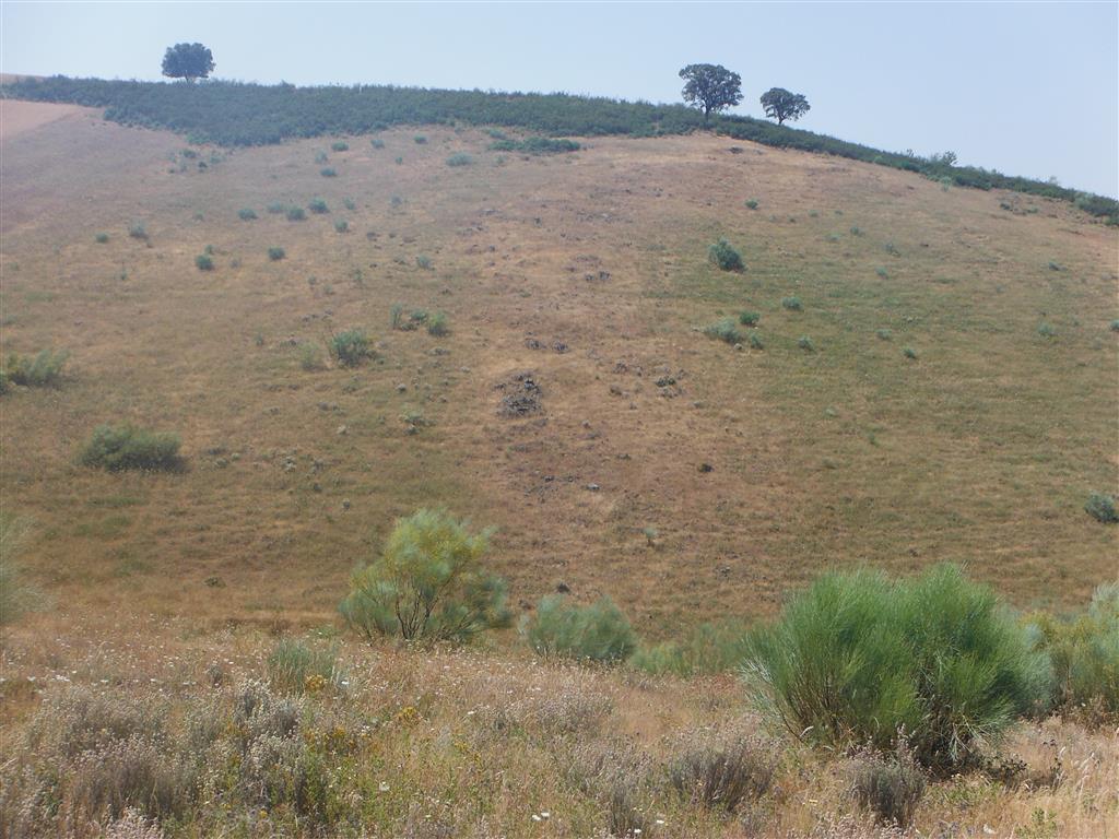 Vista desde la cota 661 hacia el sur del tramo fosfatado, que aflora de forma puntual en la ladera y está cubierto en la parte superior por una “raña”.