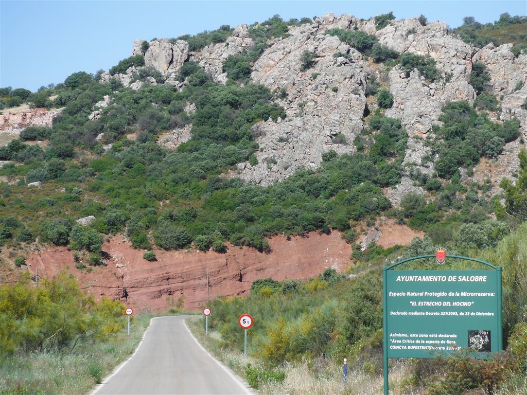Discordancia angular del Triásico sobre el Ordovícico, desde la carretera de Salobre a Reolid que cruza el estrecho del Hocino.