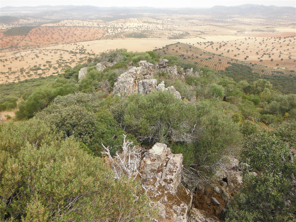 Cuarcitas del Devónico que forman la cresta de la Sierra de la Cinta. Vista desde las ruinas del castillo hacia el este. Los conglomerados ferruginosos se sitúan inmediatamente a la derecha.