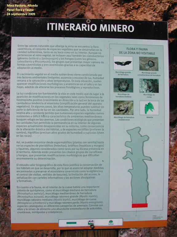 Panel sobre flora y fauna de la Mina Pastora, Aliseda
