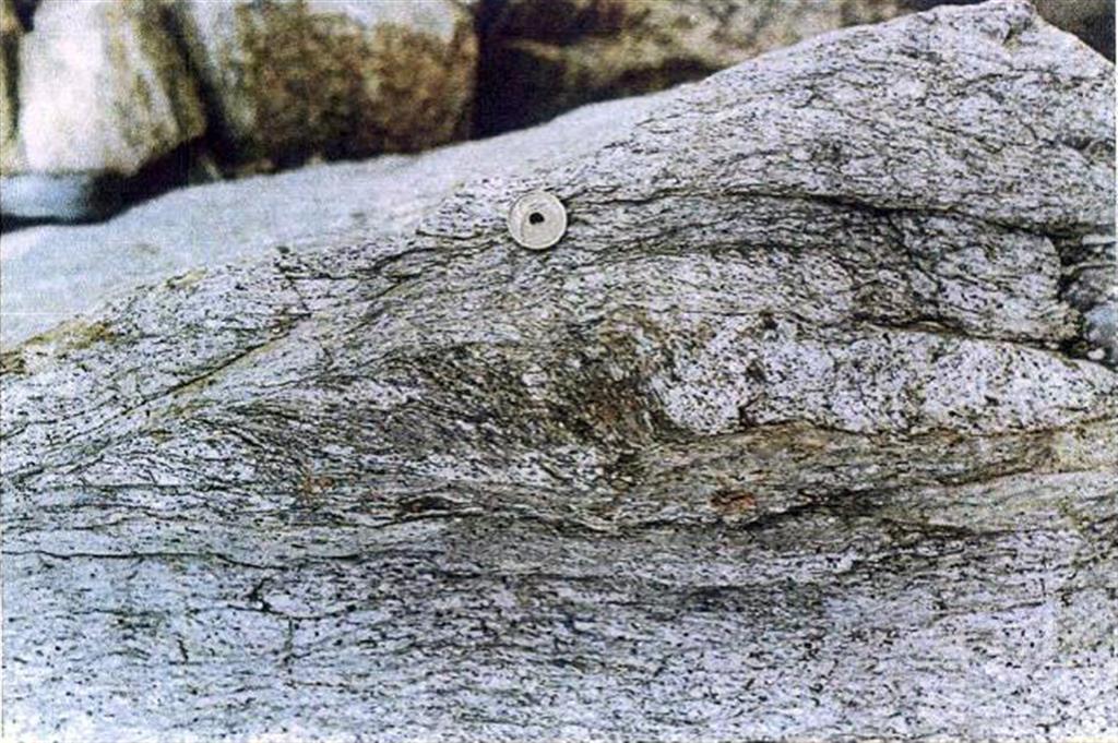 Leucogranito con turmalina, del macizo de Doniños de Ledesma, en Encina de San Silvestre,  afectado por la cizalla de Juzbado. Superficies S-C y sigmoides.
