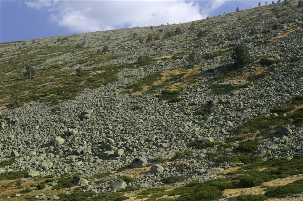 Detalle de los canchales en Valhondillo o Barondillo con las acumulaciones de base y bloques erráticos del antiguo glaciar (algunos movilizados).