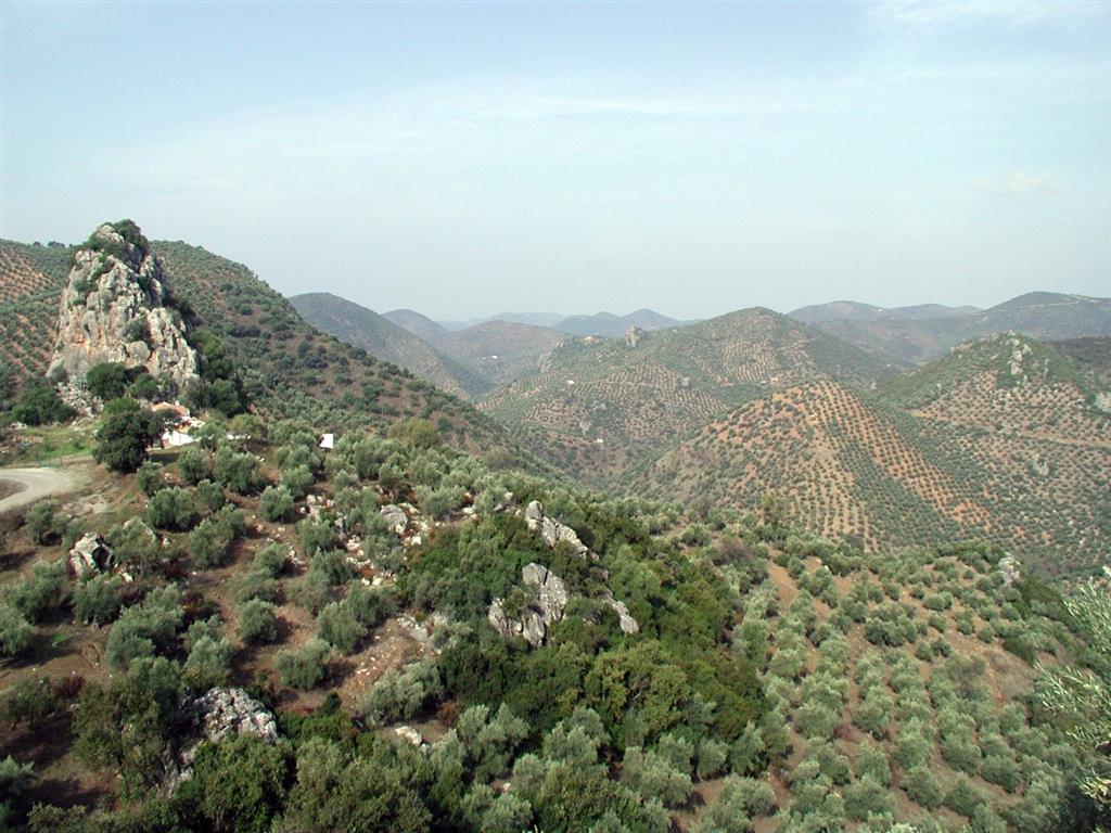 Vista general del Sinclinal de la Loma de Kilva. Se observa el sinclinal marcado por el nivel de grandes olistolitos de calizas viseenses. En primer plano el flanco meridional y a la derecha el flanco septentrional.