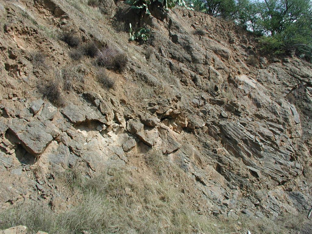 Conglomerados brechosos, clastosoportados con cantos y bloques de pizarras y areniscas del sustrato (Paleozoico inferior) y muy escasos cantos de calizas viseenses. Se puede observar un olistolito (centro derecha) constituido por pizarras y areniscas, que conserva su estructura sedimentaria original, y presenta poca deformación y metamorfismo, conservándose su contenido paleontológico. Tramo 4