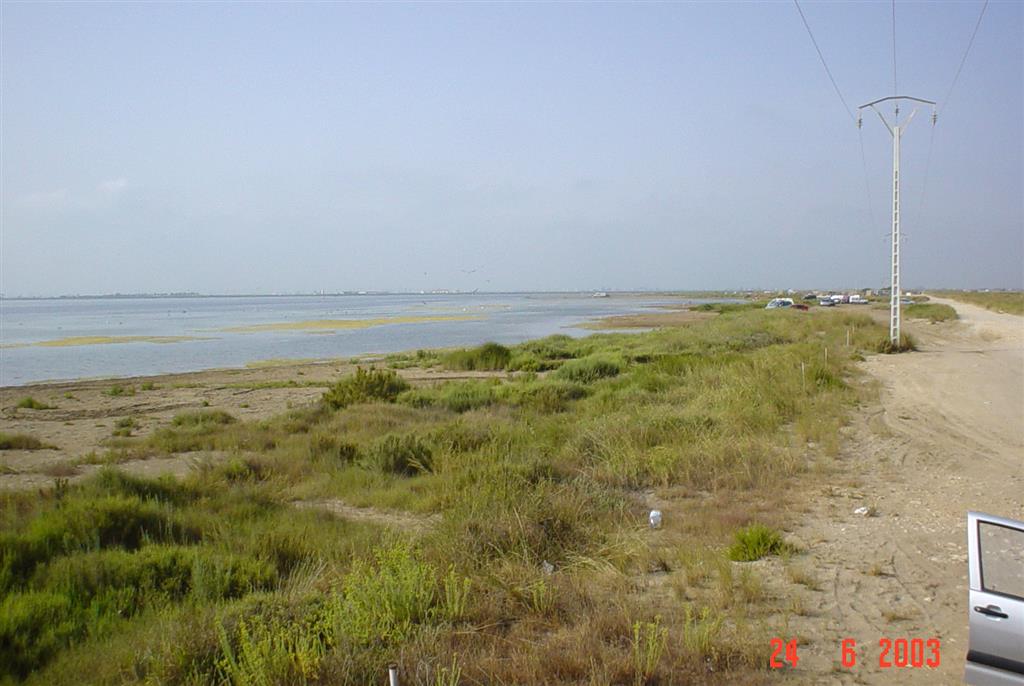 Abanicos de desbordamiento y depósitos de marjal en la orilla interna de la flecha de Trabucador (Bahía de Los Alfaques).