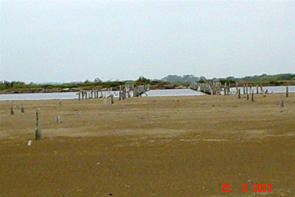 Antiguo canal principal de desembocadura del río Ebro en el delta, hoy inactivo y cerrado por una barra arenosa en el Cabo de Tortosa (Isla de San Antonio). Conjunto de postes correspondientes a antiguas instalaciones pesqueras. 